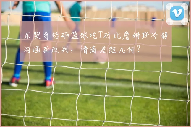 东契奇怒砸篮球吃T对比詹姆斯冷静沟通获改判,情商差距几何?
