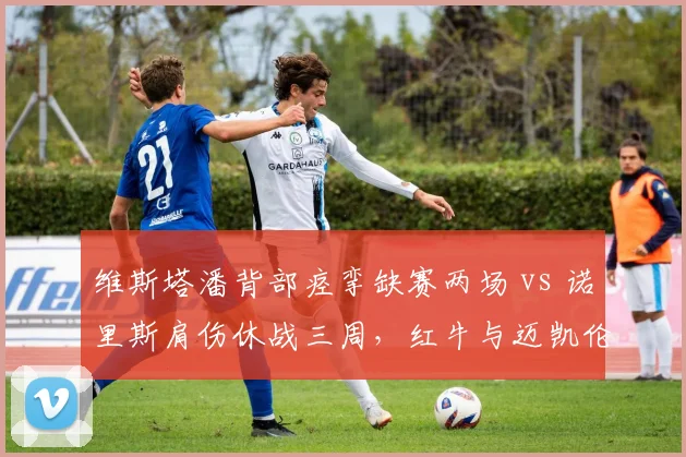 维斯塔潘背部痉挛缺赛两场 vs 诺里斯肩伤休战三周，红牛与迈凯伦核心康复对比