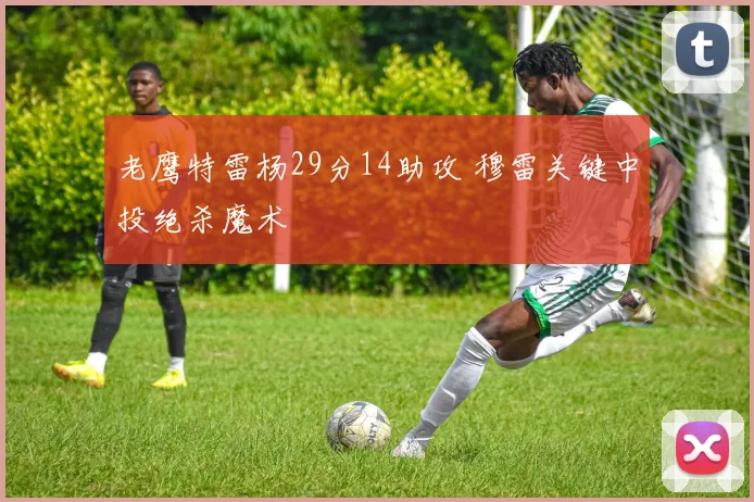老鹰特雷杨29分14助攻 穆雷关键中投绝杀魔术
