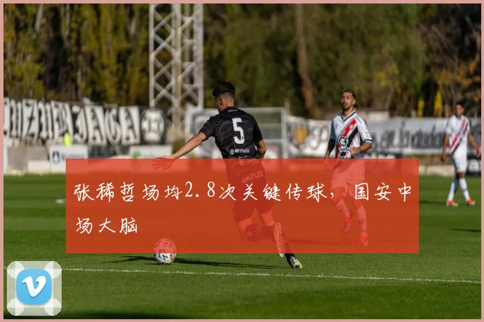 张稀哲场均2.8次关键传球,国安中场大脑